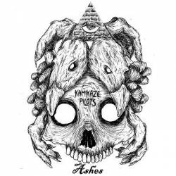 Kamikaze Pilots : Ashes